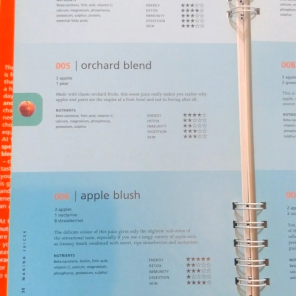 The Big Book Of Juices And Smoothies